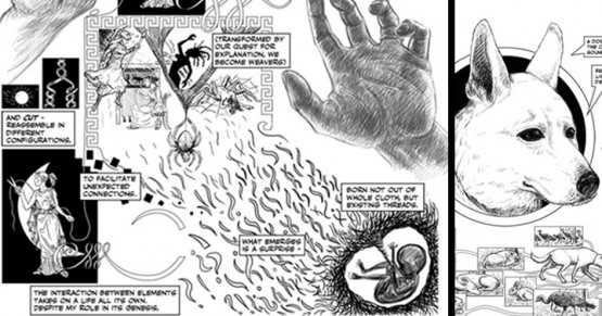 deleted scene featured image