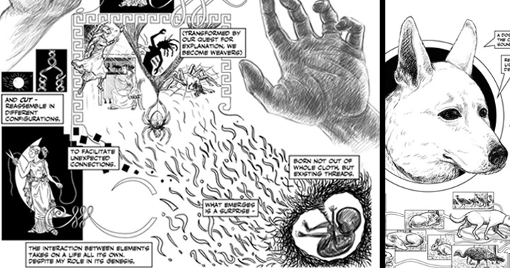 deleted scene featured image