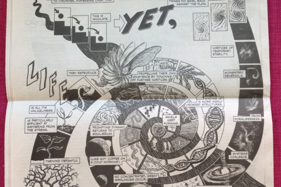 Against the Flow newspaper clip