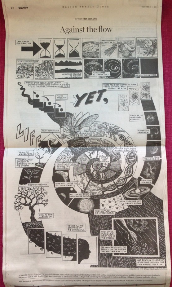 Against the Flow newspaper clip