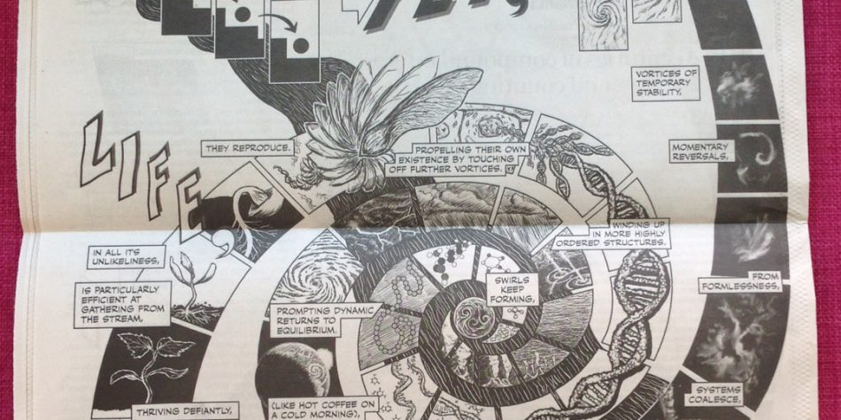 Against the Flow newspaper clip