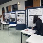 view of the exhibition displayed on posters mounted to standing walls